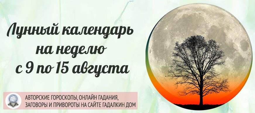 Календарь лунных дней на неделю c 9 по 15 августа